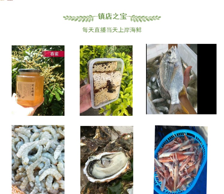鲜活鲍鱼水产贝类10个一斤  混搭3斤顺丰包邮